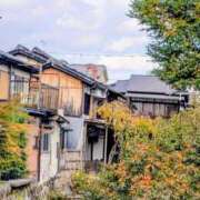 ヒメ日記 2025/11/21 21:24 投稿 一ノ瀬 葵 昼妻夜 滋賀店