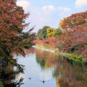 ヒメ日記 2025/11/22 21:18 投稿 一ノ瀬 葵 昼妻夜 滋賀店