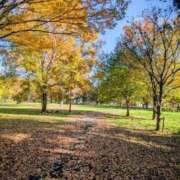 ヒメ日記 2025/11/30 20:33 投稿 一ノ瀬 葵 昼妻夜 滋賀店