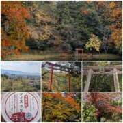 ヒメ日記 2025/12/07 18:03 投稿 一ノ瀬 葵 昼妻夜 滋賀店