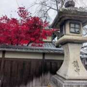 ヒメ日記 2025/12/12 23:33 投稿 一ノ瀬 葵 昼妻夜 滋賀店