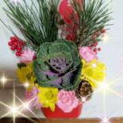 ヒメ日記 2026/01/01 03:33 投稿 一ノ瀬 葵 昼妻夜 滋賀店