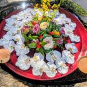 ヒメ日記 2026/01/02 03:03 投稿 一ノ瀬 葵 昼妻夜 滋賀店