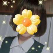 ヒメ日記 2026/01/21 12:18 投稿 一ノ瀬 葵 昼妻夜 滋賀店