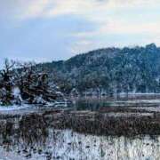 ヒメ日記 2026/02/10 22:48 投稿 一ノ瀬 葵 昼妻夜 滋賀店