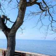 ヒメ日記 2026/02/13 21:33 投稿 一ノ瀬 葵 昼妻夜 滋賀店