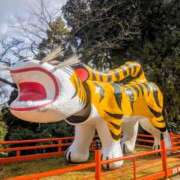 ヒメ日記 2026/03/26 18:03 投稿 一ノ瀬 葵 昼妻夜 滋賀店