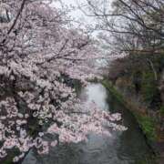 ヒメ日記 2026/04/01 16:48 投稿 一ノ瀬 葵 昼妻夜 滋賀店