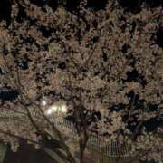 ヒメ日記 2026/04/06 21:03 投稿 一ノ瀬 葵 昼妻夜 滋賀店