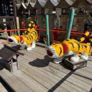 ヒメ日記 2025/03/15 08:15 投稿 しょうほ 熟女家 東大阪店（布施・長田）