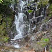 ヒメ日記 2025/04/23 12:25 投稿 しょうほ 熟女家 東大阪店（布施・長田）