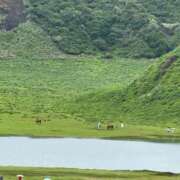 ヒメ日記 2025/07/04 11:06 投稿 しょうほ 熟女家 東大阪店（布施・長田）