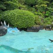 ヒメ日記 2025/07/19 09:35 投稿 しょうほ 熟女家 東大阪店（布施・長田）