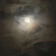 ヒメ日記 2025/07/19 09:44 投稿 しょうほ 熟女家 東大阪店（布施・長田）