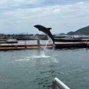 ヒメ日記 2025/07/21 14:05 投稿 しょうほ 熟女家 東大阪店（布施・長田）