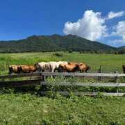 ヒメ日記 2025/09/19 10:18 投稿 しょうほ 熟女家 東大阪店（布施・長田）