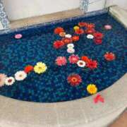 ヒメ日記 2026/02/07 13:25 投稿 しょうほ 熟女家 東大阪店（布施・長田）