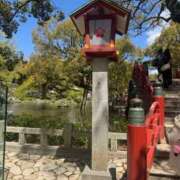 ヒメ日記 2026/04/19 10:08 投稿 しょうほ 熟女家 東大阪店（布施・長田）