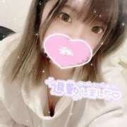 ヒメ日記 2025/02/03 03:05 投稿 えりさ 奥様特急三条店