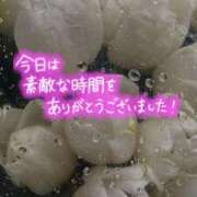 ヒメ日記 2024/12/09 06:12 投稿 上田（うえだ） 丸妻 錦糸町店