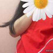 ヒメ日記 2025/03/01 14:42 投稿 かい 立川女学園