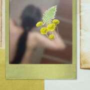 ヒメ日記 2025/09/01 08:23 投稿 かい 立川女学園