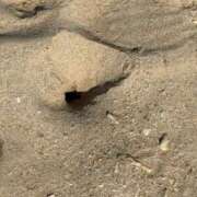 ヒメ日記 2025/12/22 20:13 投稿 かい 立川女学園