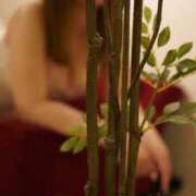 ヒメ日記 2025/10/28 07:22 投稿 さら ごほうびSPA 大阪店