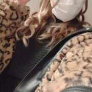 ヒメ日記 2024/12/20 09:16 投稿 つむぎ ニュー不夜城