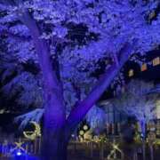 ヒメ日記 2025/03/30 23:01 投稿 マイカ エピソード(品川)