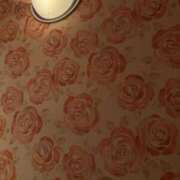 ヒメ日記 2025/05/04 15:51 投稿 みなみ 奥様特急長岡店