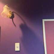 ヒメ日記 2025/05/05 22:11 投稿 みなみ 奥様特急長岡店