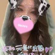 ヒメ日記 2025/06/05 08:18 投稿 あず 池袋千姫