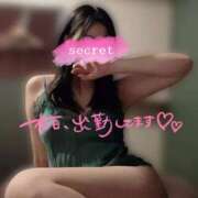 ヒメ日記 2026/03/13 11:49 投稿 あず 池袋千姫