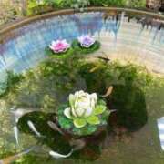 ヒメ日記 2025/04/24 20:48 投稿 優癒（ゆうひ） 熟女の風俗最終章 大宮店