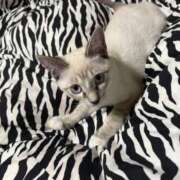 ヒメ日記 2025/09/23 12:20 投稿 優癒（ゆうひ） 熟女の風俗最終章 大宮店