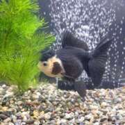 ヒメ日記 2026/02/05 14:06 投稿 優癒（ゆうひ） 熟女の風俗最終章 大宮店