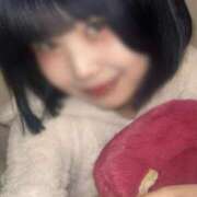 ヒメ日記 2025/05/18 15:03 投稿 ひまわり The White