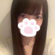 ヒメ日記 2025/04/16 21:01 投稿 きら プリコレ（PRINCESS COLLECTION）