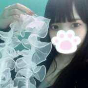 ヒメ日記 2025/04/26 19:46 投稿 きら プリコレ（PRINCESS COLLECTION）