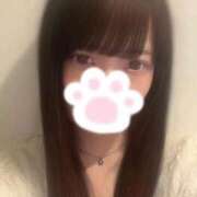 ヒメ日記 2026/08/15 19:35 投稿 きら プリコレ（PRINCESS COLLECTION）