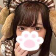 ヒメ日記 2026/09/12 10:35 投稿 きら プリコレ（PRINCESS COLLECTION）