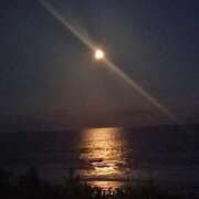 ヒメ日記 2024/12/12 04:20 投稿 さおり タレント倶楽部Around40