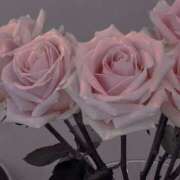 ヒメ日記 2025/05/07 17:38 投稿 さおり タレント倶楽部Around40