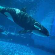 ヒメ日記 2025/05/10 18:40 投稿 さおり タレント倶楽部Around40