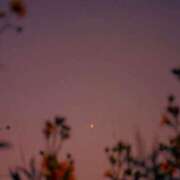 ヒメ日記 2025/05/19 02:16 投稿 さおり タレント倶楽部Around40