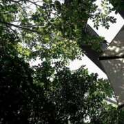 ヒメ日記 2025/06/18 11:22 投稿 さおり タレント倶楽部Around40