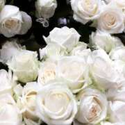 ヒメ日記 2025/07/08 03:10 投稿 さおり タレント倶楽部Around40