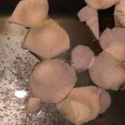 ヒメ日記 2025/07/30 16:40 投稿 さおり タレント倶楽部Around40