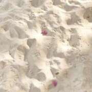 ヒメ日記 2025/08/10 02:28 投稿 さおり タレント倶楽部Around40